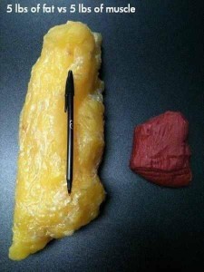 Yes the scale is important, but don't let that be your only focus.